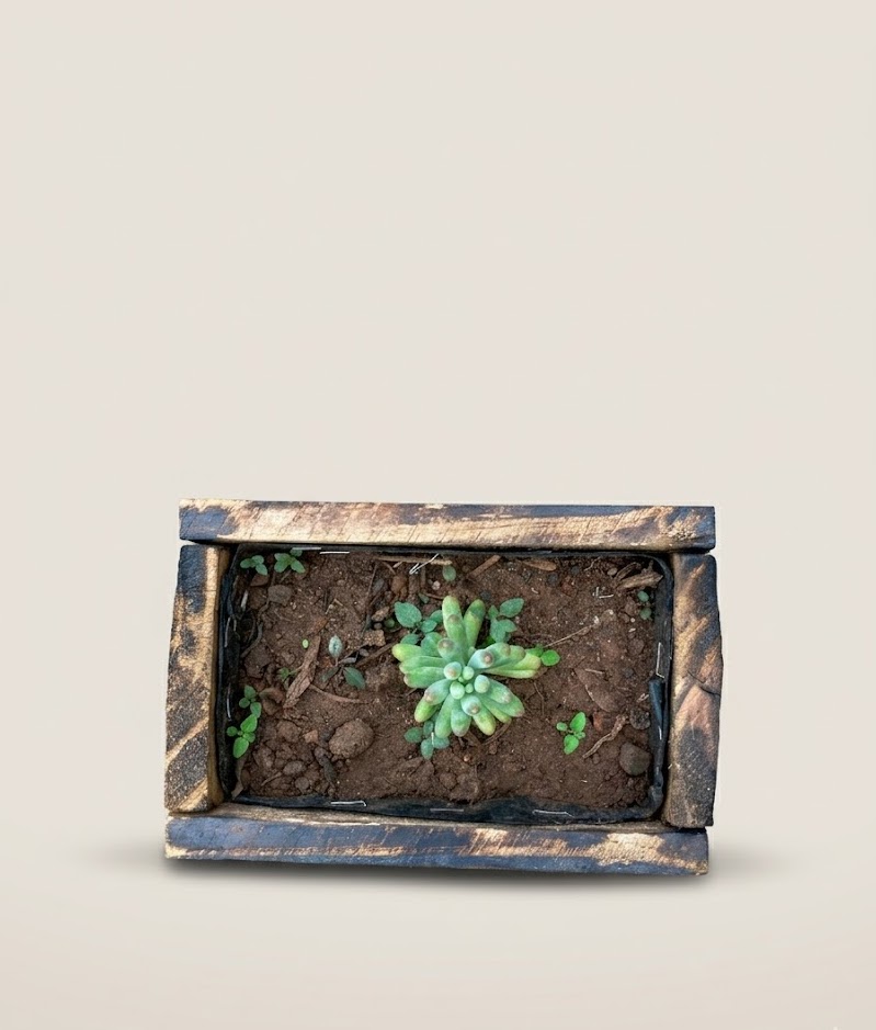 Planter Boma — handcrafted African outdoor by FashonistarGallery in Kenya (view 2)