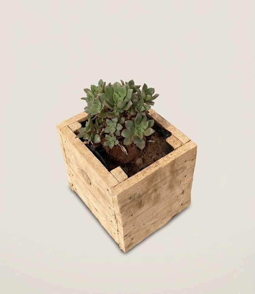 Lenge Flower Pot (empty) Planter — handcrafted African outdoor by FashonistarGallery in Kenya