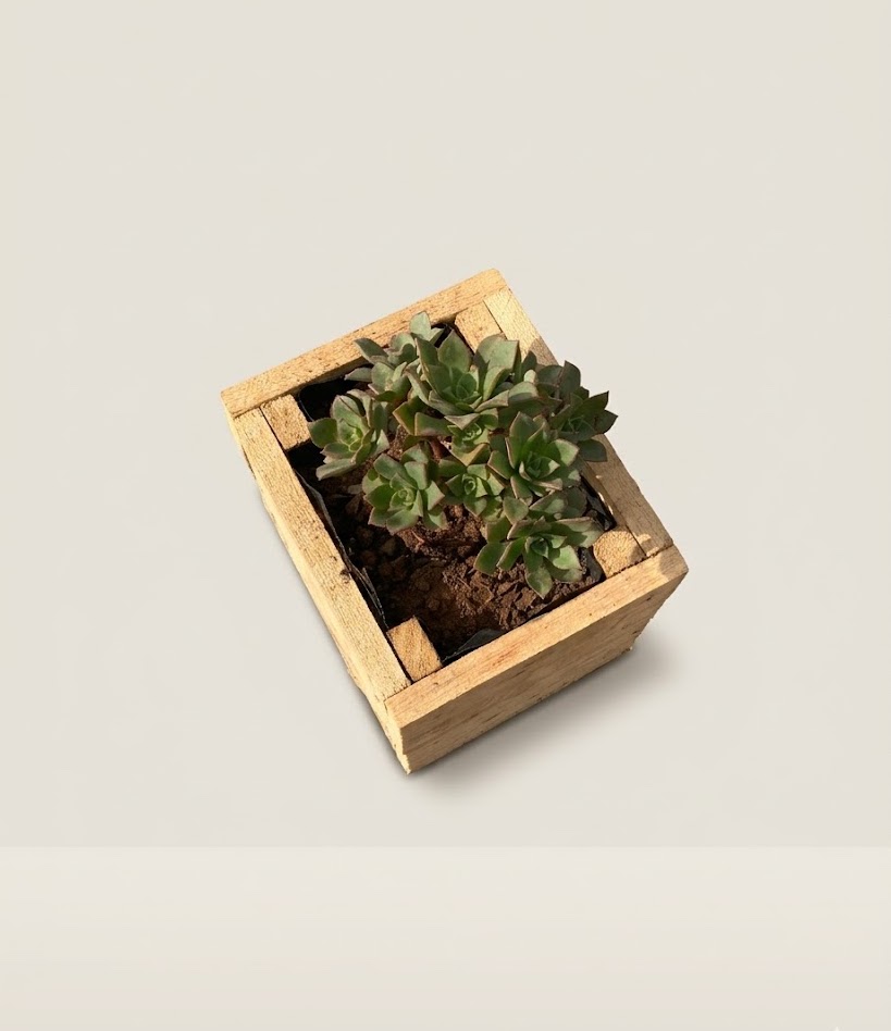 Lenge Flower Pot (empty) Planter — handcrafted African outdoor by FashonistarGallery in Kenya (view 2)