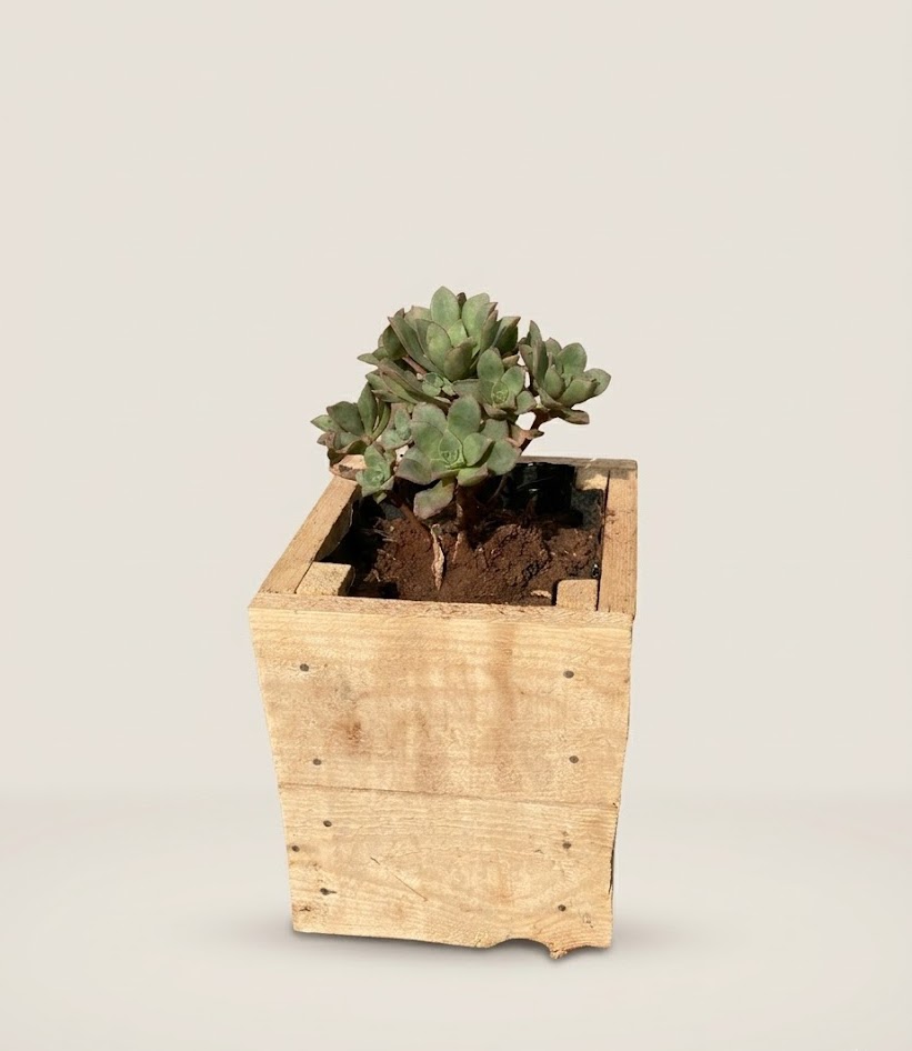 Lenge Flower Pot (empty) Planter — handcrafted African outdoor by FashonistarGallery in Kenya (view 3)