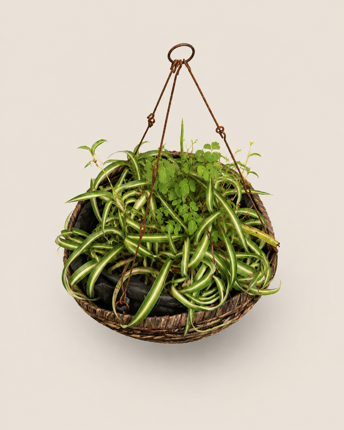 Achebe Hanging Planter — handcrafted African outdoor by Terry scape in Kenya (view 3)