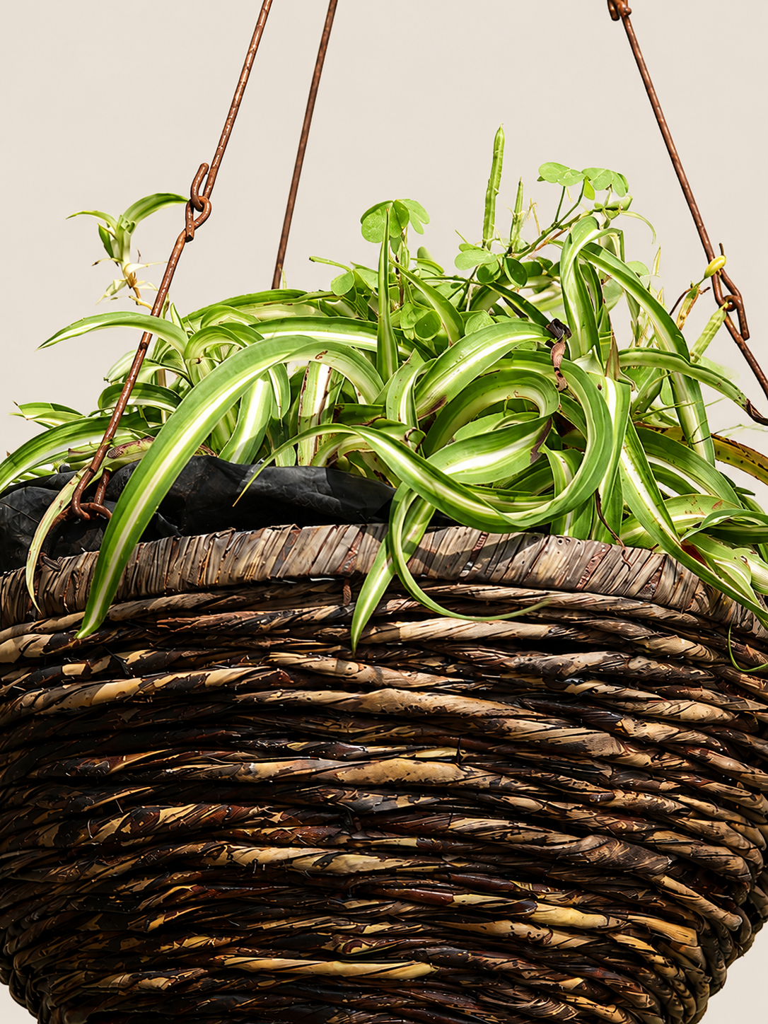 Achebe Hanging Planter — handcrafted African outdoor by Terry scape in Kenya (view 4)