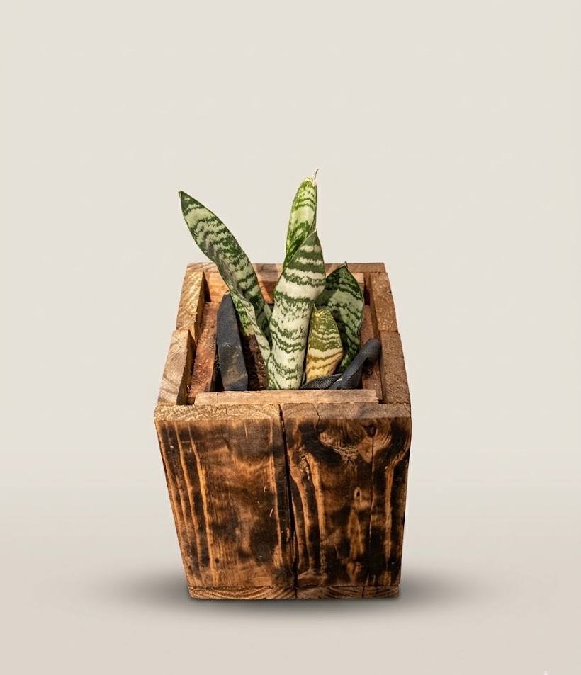 Mbuni Planter Vessel — handcrafted African outdoor by FashonistarGallery in Kenya (view 2)
