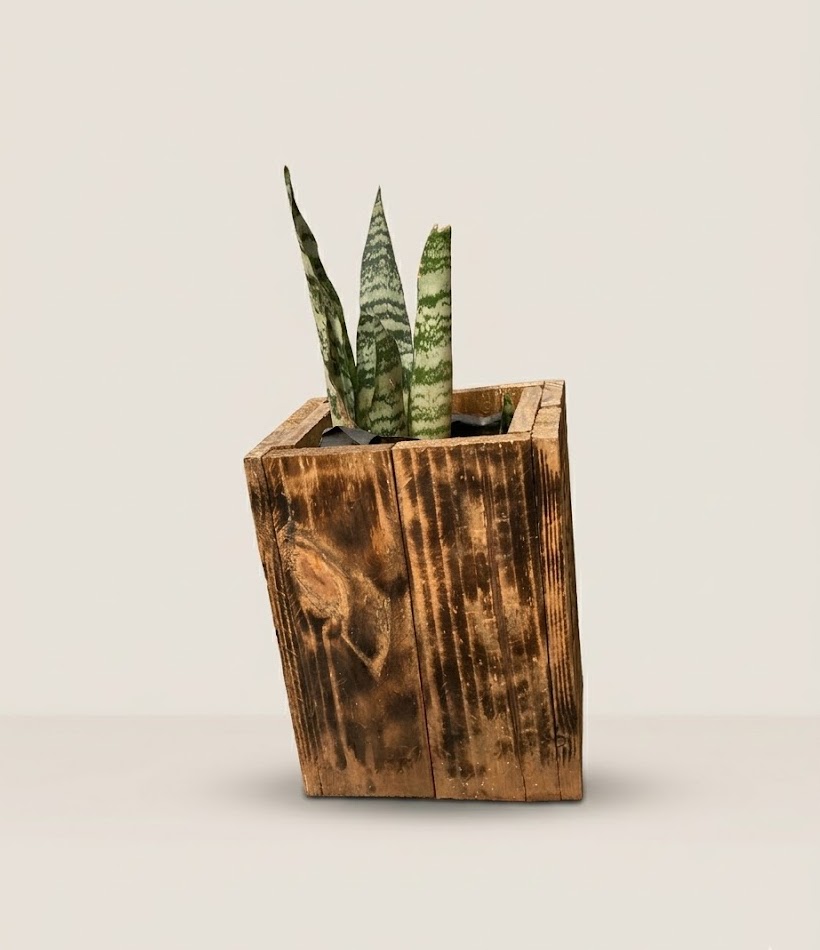 Mbuni Planter Vessel — handcrafted African outdoor by FashonistarGallery in Kenya (view 3)