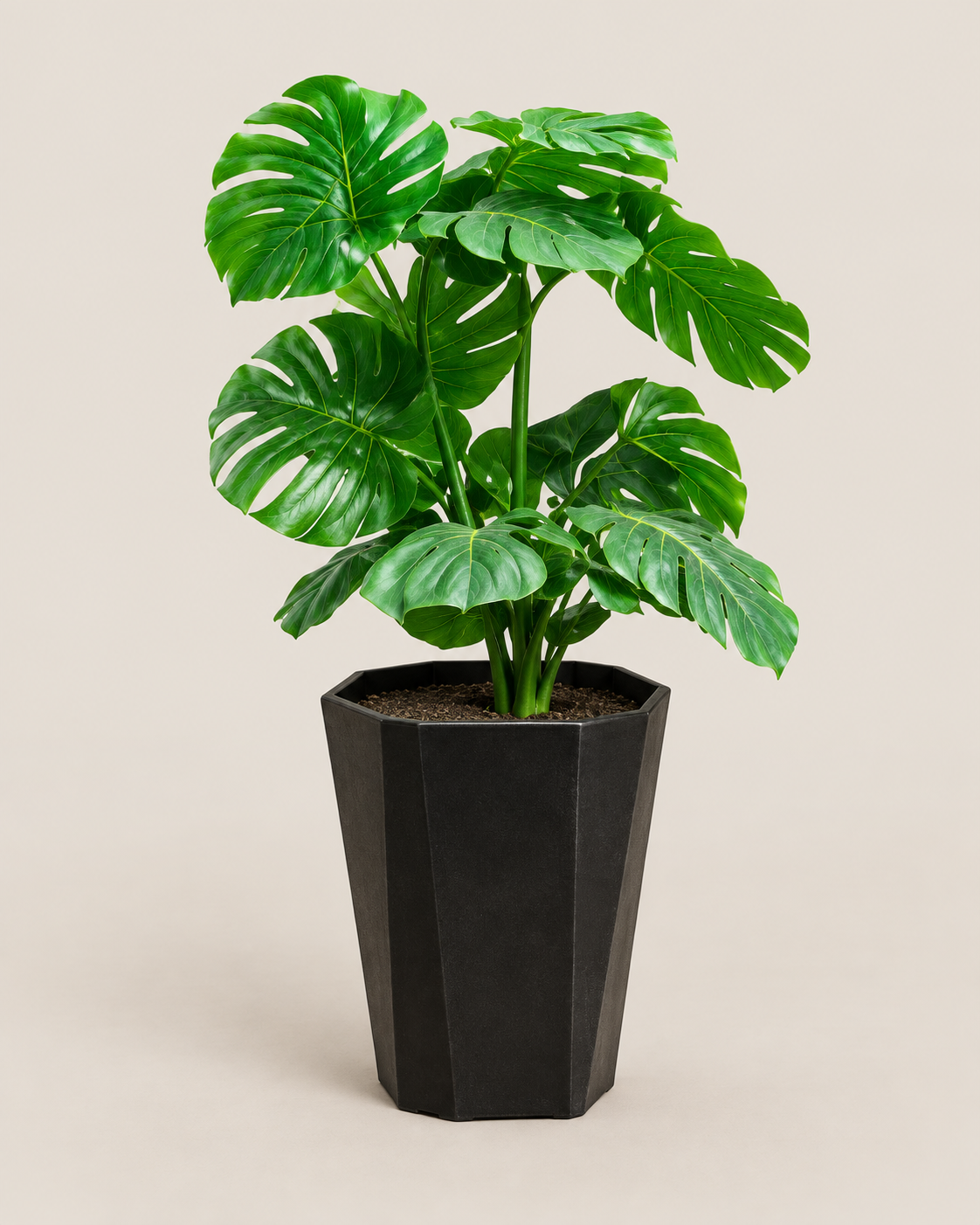 Nyafula Planter — handcrafted African outdoor by jadima interior decor in Kenya (view 2)