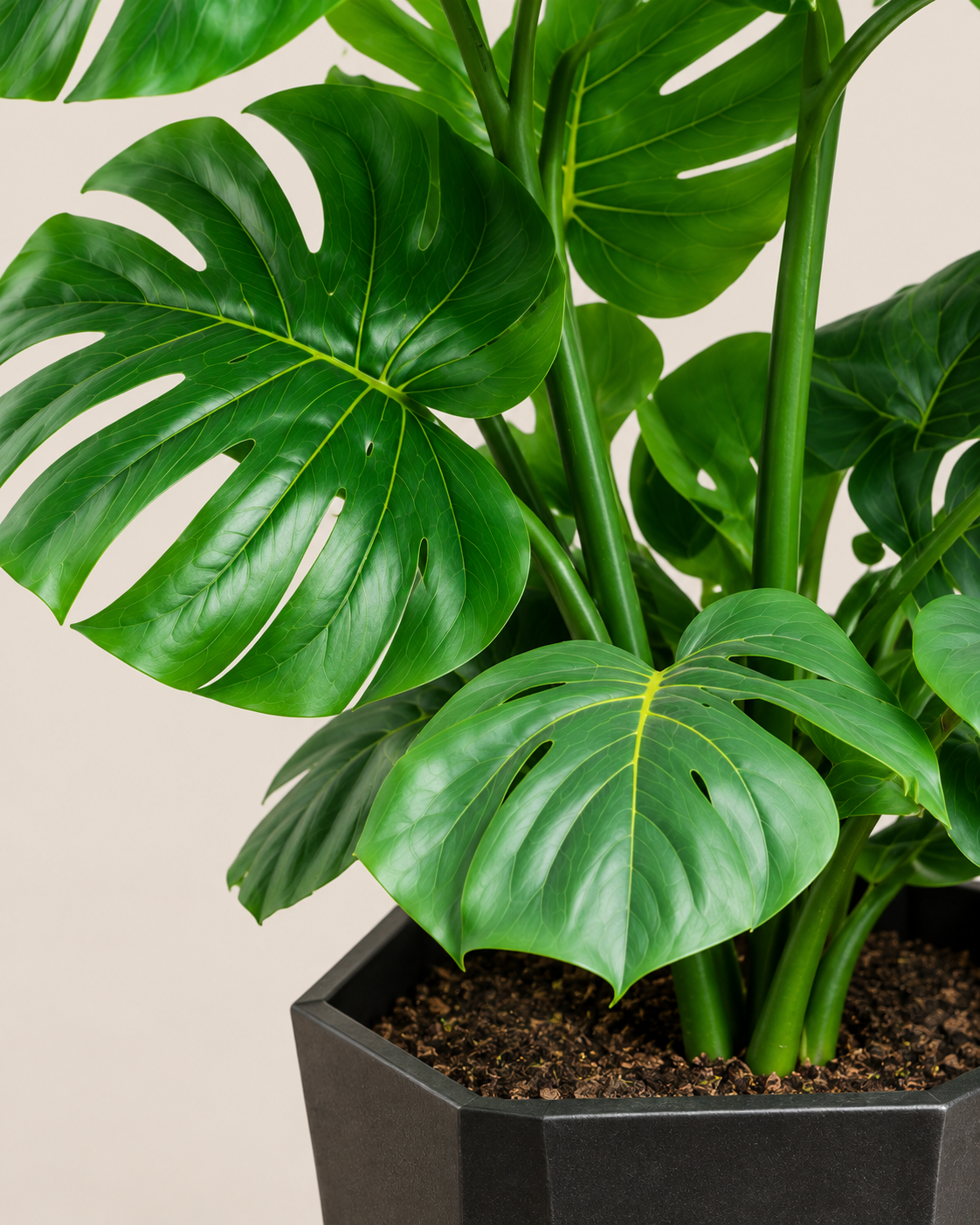 Nyafula Planter — handcrafted African outdoor by jadima interior decor in Kenya (view 4)