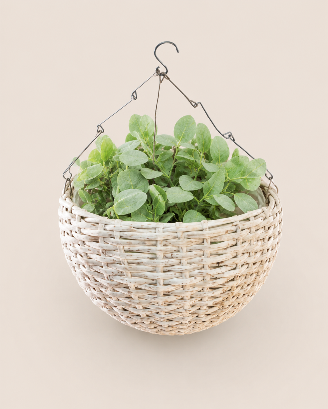 Nneka Hanging Planter — handcrafted African outdoor by Kibethis  in Kenya