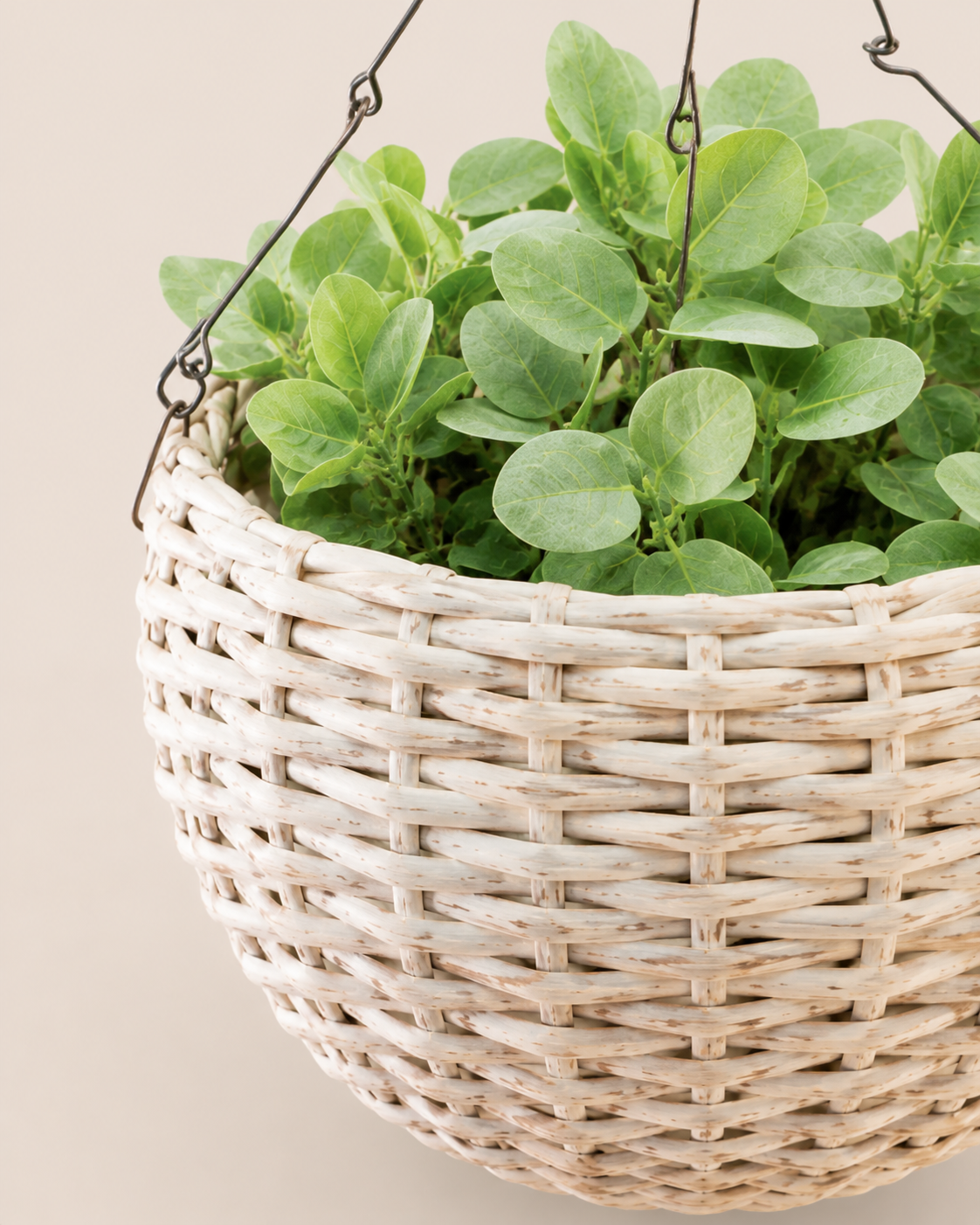 Nneka Hanging Planter — handcrafted African outdoor by Kibethis  in Kenya (view 3)