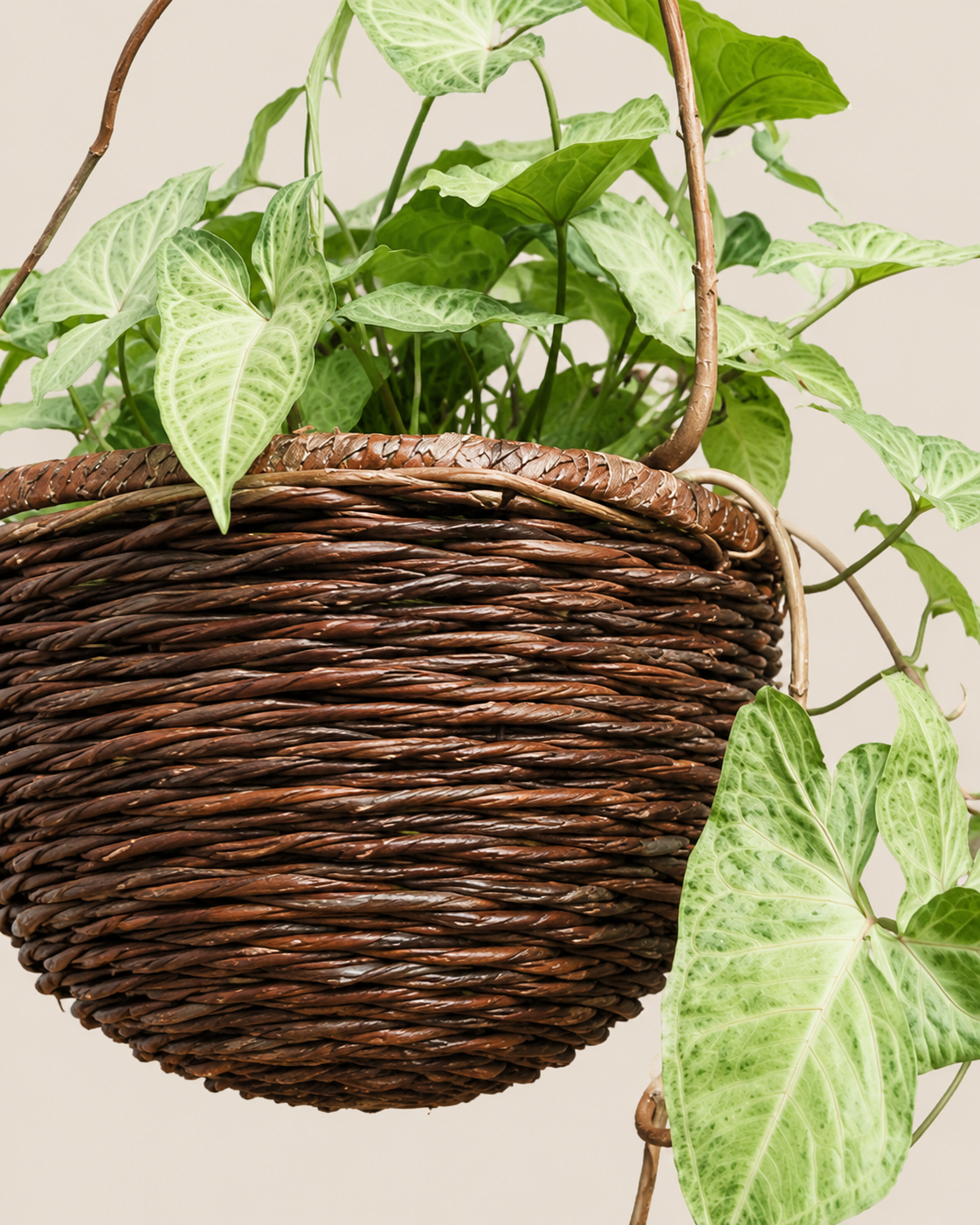 Beba Rattan Hanging Planter — handcrafted African outdoor by Kibethis  in Kenya (view 3)