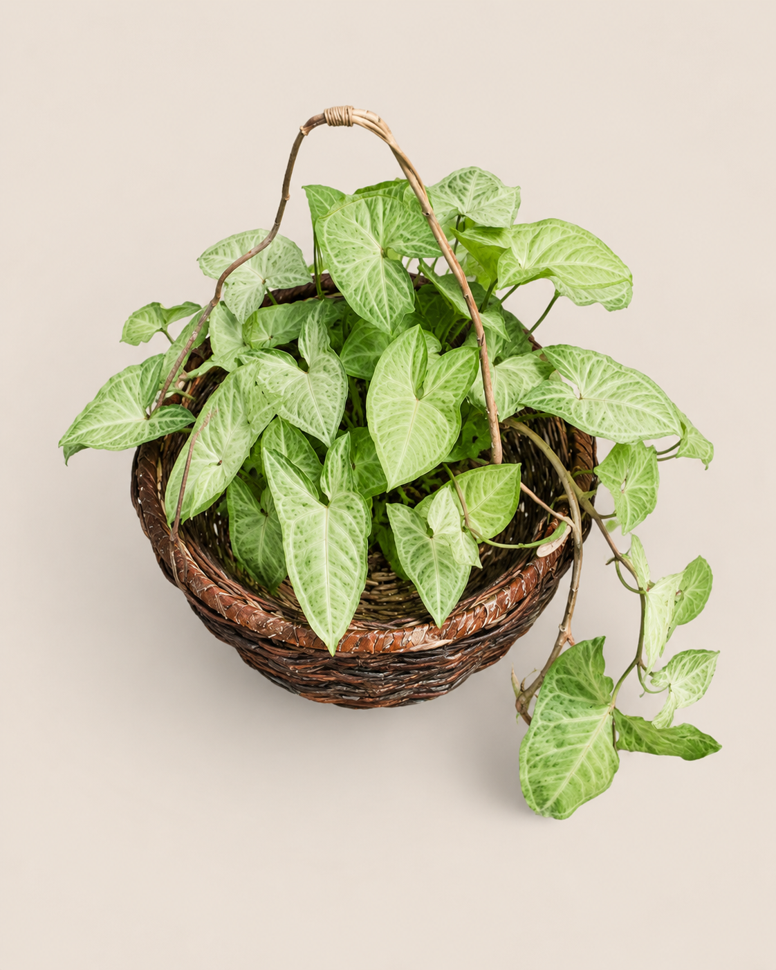 Beba Rattan Hanging Planter — handcrafted African outdoor by Kibethis  in Kenya (view 2)