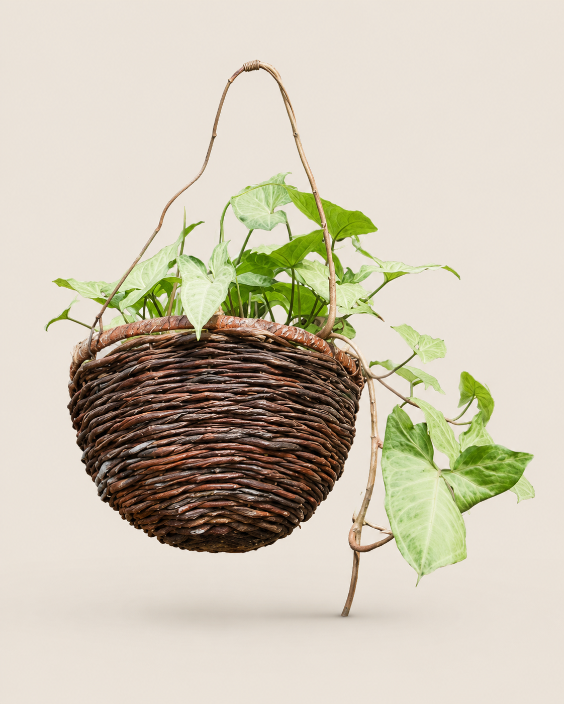 Beba Rattan Hanging Planter — handcrafted African outdoor by Kibethis  in Kenya