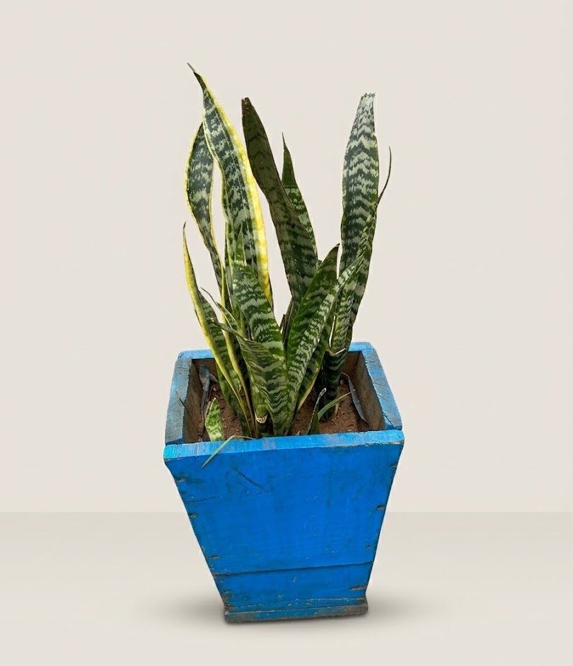 Mbingu Blue Planter — handcrafted African outdoor by FashonistarGallery in Kenya