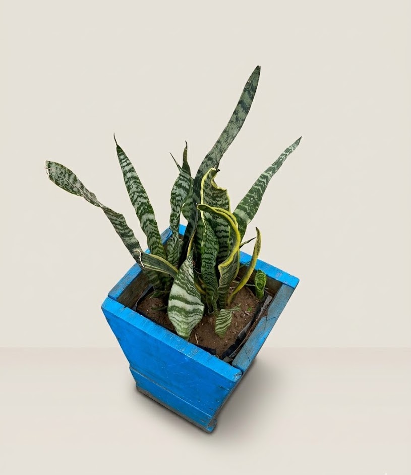 Mbingu Blue Planter — handcrafted African outdoor by FashonistarGallery in Kenya (view 2)