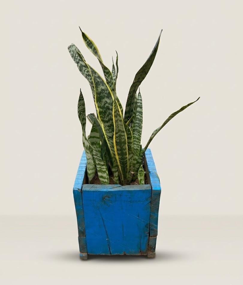 Mbingu Blue Planter — handcrafted African outdoor by FashonistarGallery in Kenya (view 3)