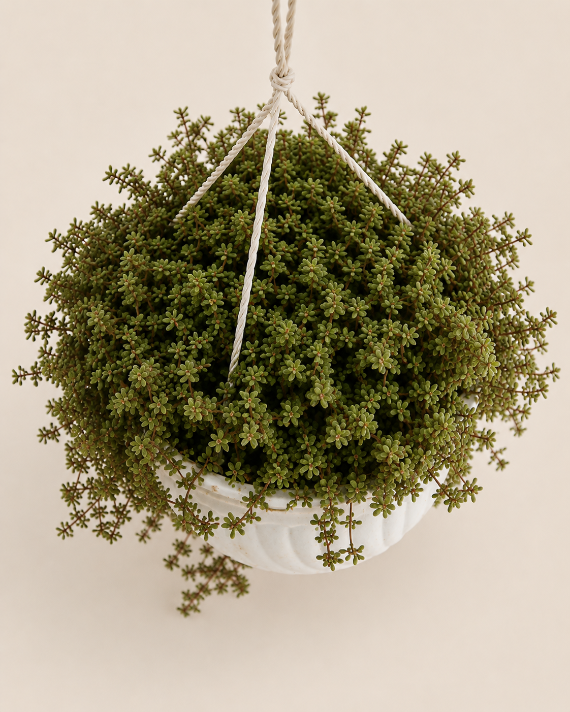 Abodi Hanging Planter — handcrafted African outdoor by Kibethis  in Kenya (view 3)